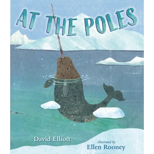 At the Poles - Hardcover
