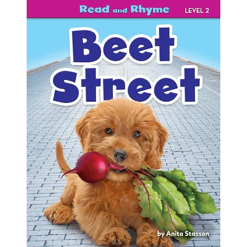 Beet Street - Library Binding