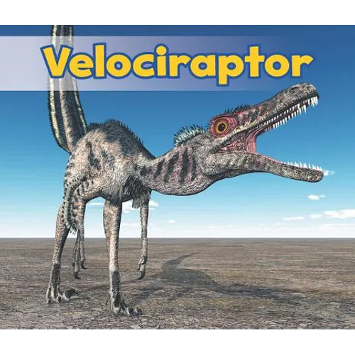 Velociraptor - Paperback