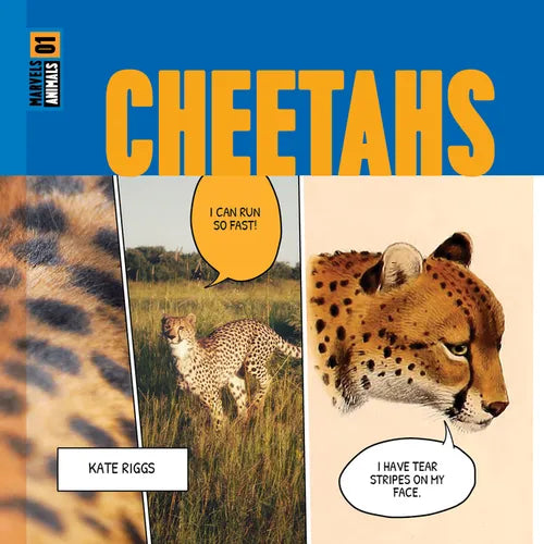 Cheetahs - Hardcover