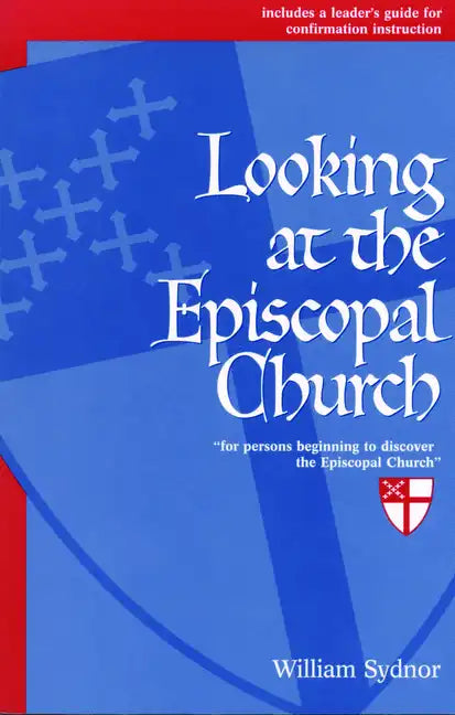 Looking at the Episcopal Church - Paperback