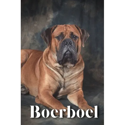Boerboel: Dog breed overview and guide - Paperback