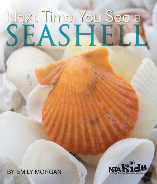Next Time You See a Seashell - Paperback