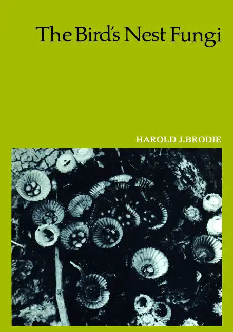 The Bird's Nest Fungi - Paperback