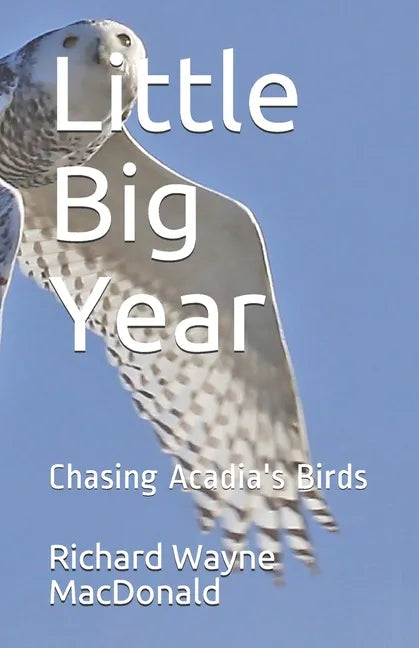 Little Big Year: Chasing Acadia's Birds - Paperback