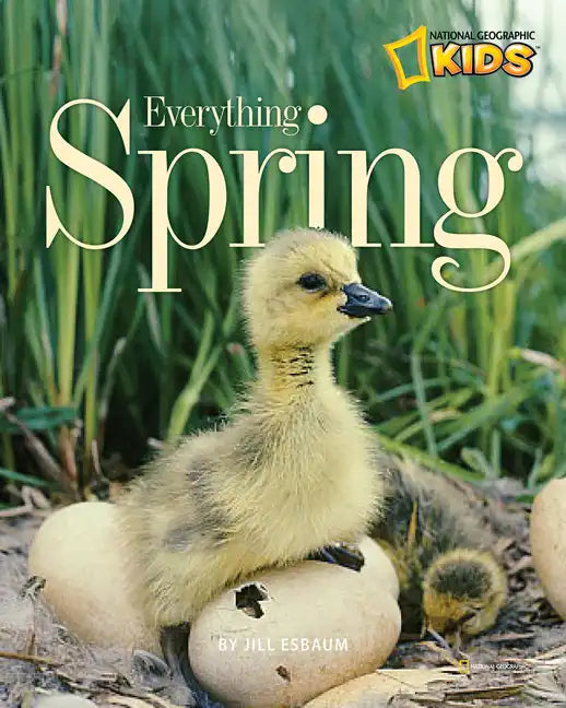 Everything Spring - Paperback
