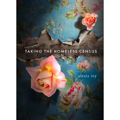 Taking the Homeless Census - Paperback