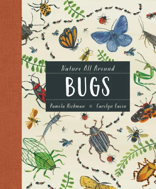 Nature All Around: Bugs - Hardcover
