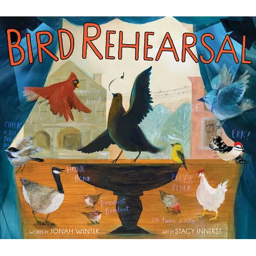 Bird Rehearsal: A Picture Book - Hardcover