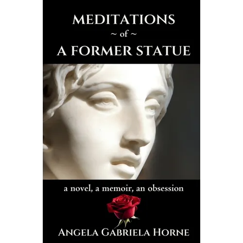 Meditations of a Former Statue - Paperback