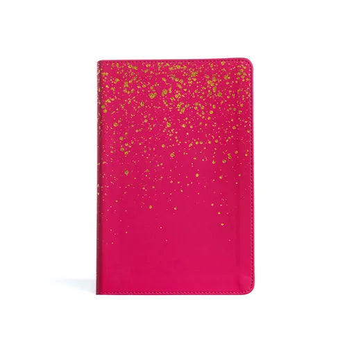 KJV Kids Bible, Pink Leathertouch - Imitation Leather
