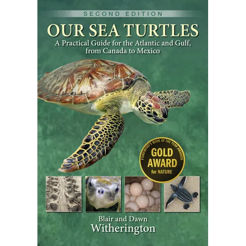 Our Sea Turtles: A Practical Guide for the Atlantic and Gulf, from Canada to Mexico - Paperback