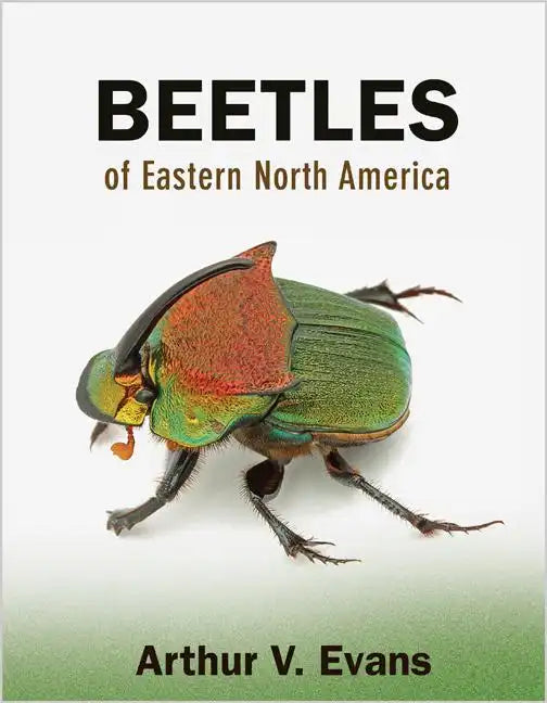 Beetles of Eastern North America - Paperback