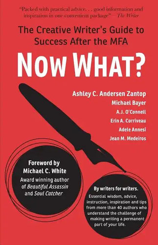 Now What?: The Creative Writer's Guide to Success After the MFA - Paperback