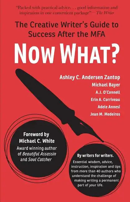Now What?: The Creative Writer's Guide to Success After the MFA - Paperback