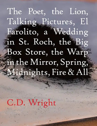 The Poet, the Lion, Talking Pictures, El Farolito, a Wedding in St. Roch, the Big Box Store, the Warp in the Mirror, Spring, Midnights, Fire & All - Paperback