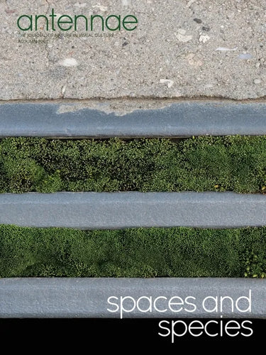 Antennae #56 Spaces and Species - Paperback
