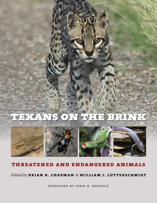 Texans on the Brink: Threatened and Endangered Animals - Hardcover