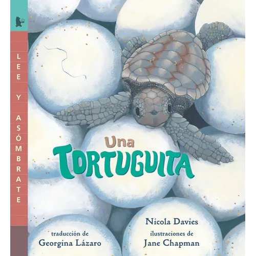 Una Tortuguita: Read and Wonder - Paperback