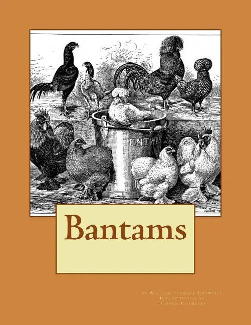 Bantams - Paperback