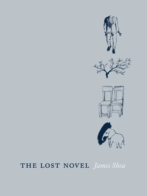 The Lost Novel - Paperback
