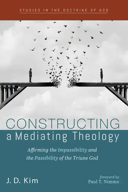 Constructing a Mediating Theology - Paperback