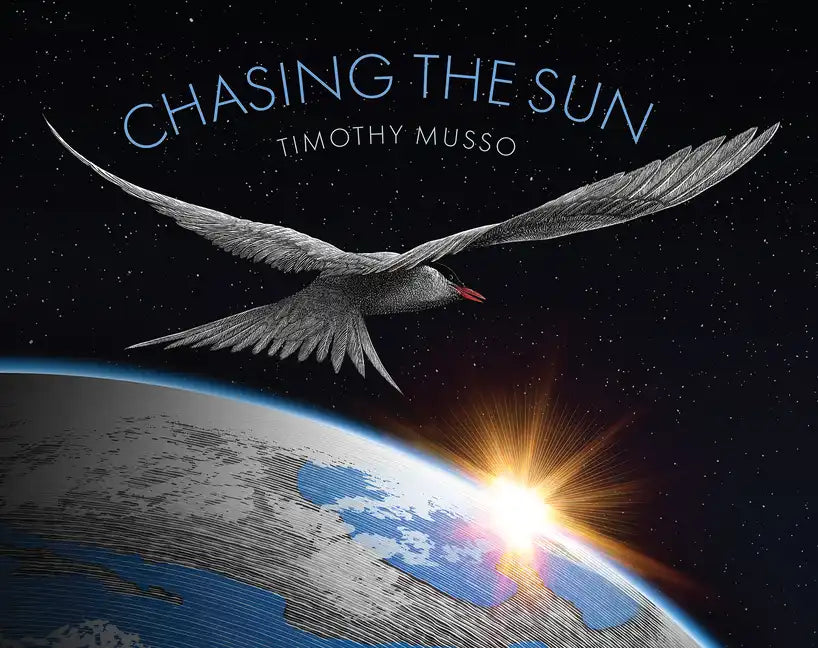 Chasing the Sun - Hardcover