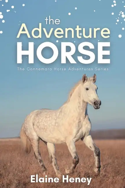 The Adventure Horse - Book 5 in the Connemara Horse Adventure Series for Kids - Paperback