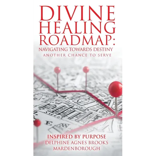 Divine Healing Roadmap: Navigating Towards Destiny: Another Chance to Serve - Paperback