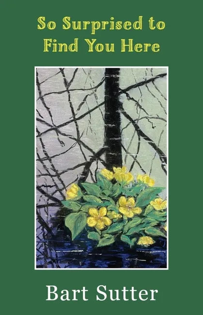 So Surprised to Find You Here: Poems - Paperback