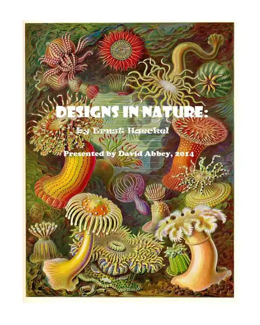 Designs in Nature: the incredible art of Ernst Haeckel - Paperback