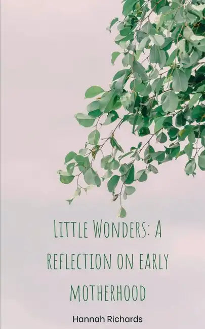 Little Wonders: A reflection on early motherhood - Paperback