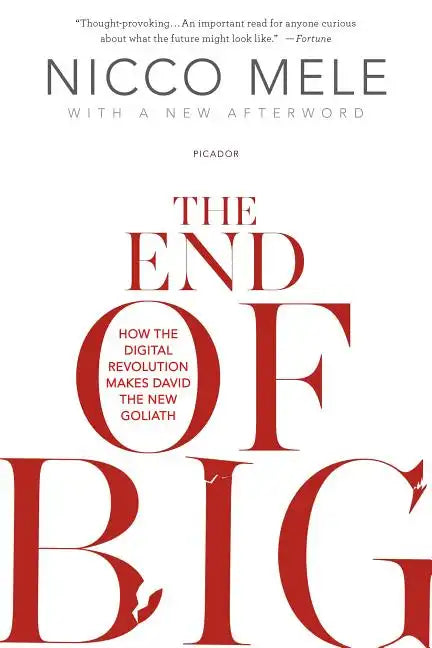 End of Big - Paperback