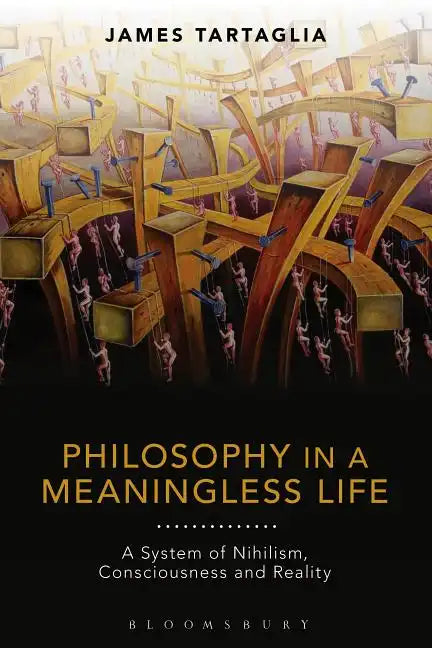 Philosophy in a Meaningless Life - Paperback