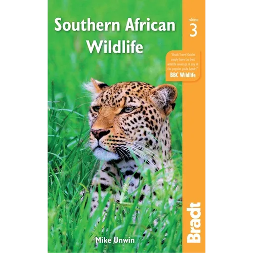 Southern African Wildlife - Paperback