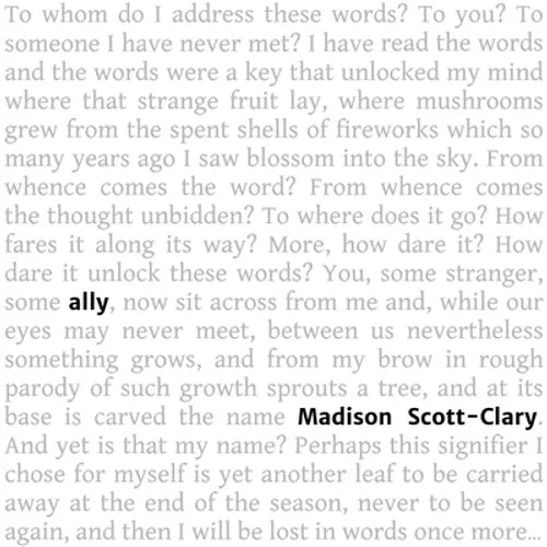 ally - Paperback