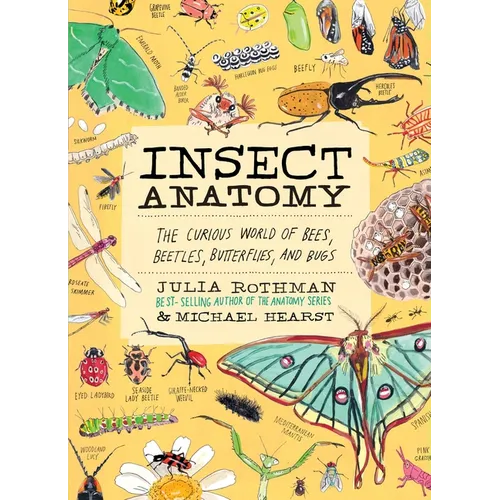 Insect Anatomy: The Curious World of Bees, Beetles, Butterflies, and Bugs - Paperback