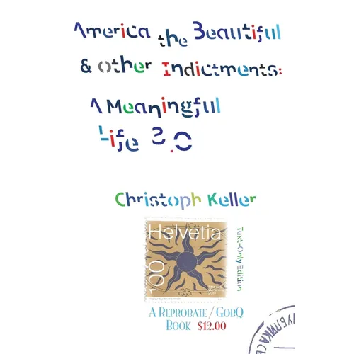 America the Beautiful & Other Indictments: A Meaningful Life 3.0 - Paperback
