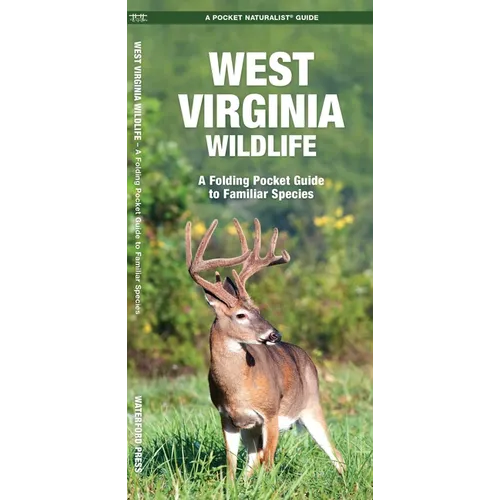 West Virginia Wildlife: A Folding Pocket Guide to Familiar Species - Paperback