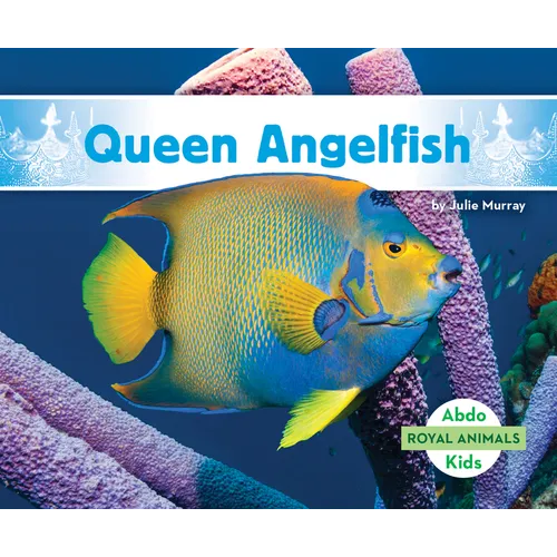 Queen Angelfish - Library Binding