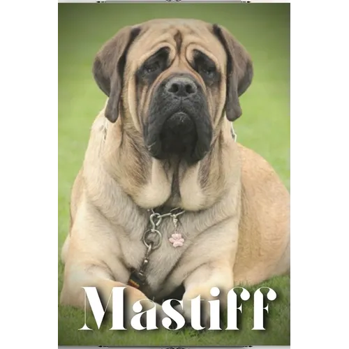 Mastiff: Dog breed overview and guide - Paperback