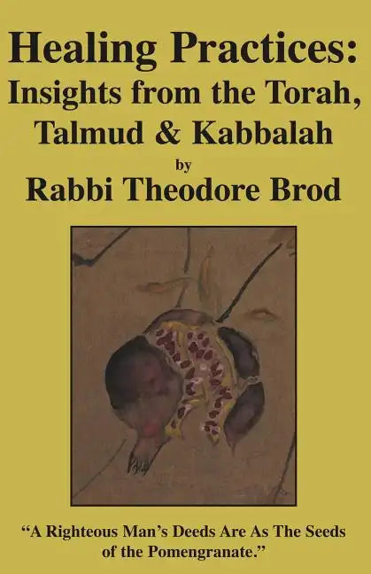 Healing Practices: Insights from the Torah, Talmud and Kabbalah - Paperback