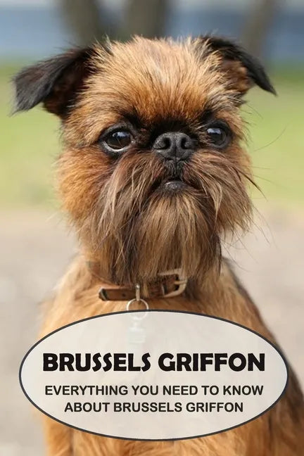 Brussels Griffon: Everything You Need to Know About Brussels Griffon: Brussels Griffon Dog Breed Pictures - Paperback