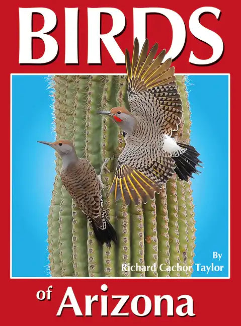 Birds of Arizona - Paperback