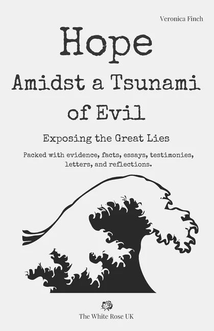 Hope Amidst a Tsunami of Evil: Exposing the Great Lies - Paperback