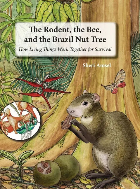 The Rodent, the Bee, and the Brazil Nut Tree: How Living Things Work Together for Survival - Hardcover