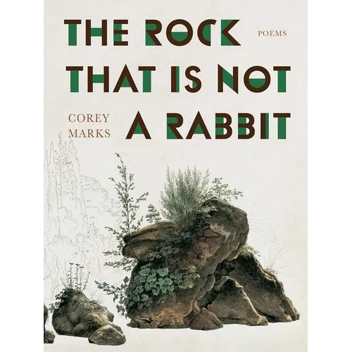 The Rock That Is Not a Rabbit: Poems - Paperback