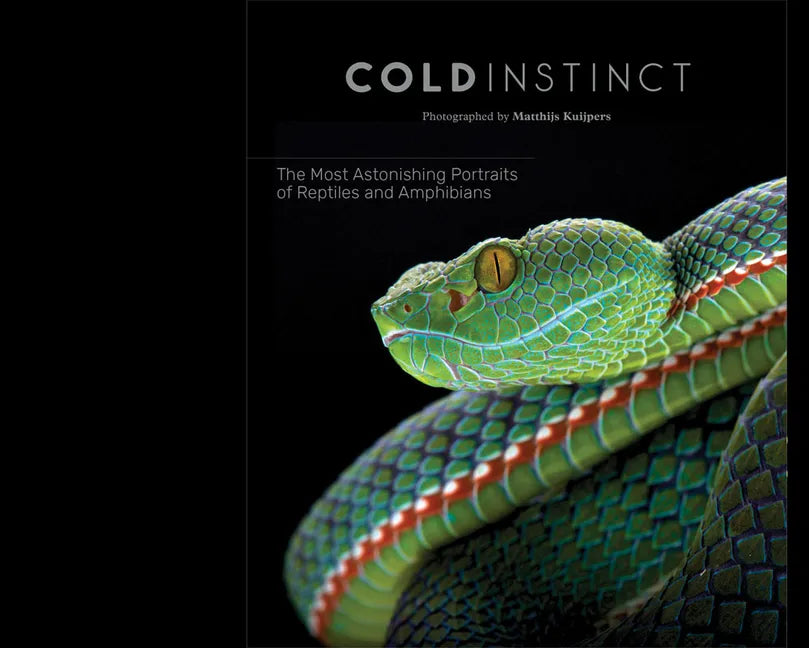 Matthijs Kuijpers: Cold Instinct - Hardcover