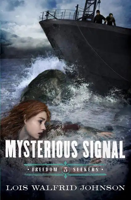Mysterious Signal: Volume 5 - Paperback