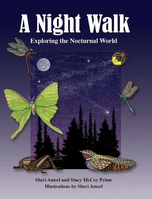 A Night Walk: Exploring the Nocturnal World - Hardcover